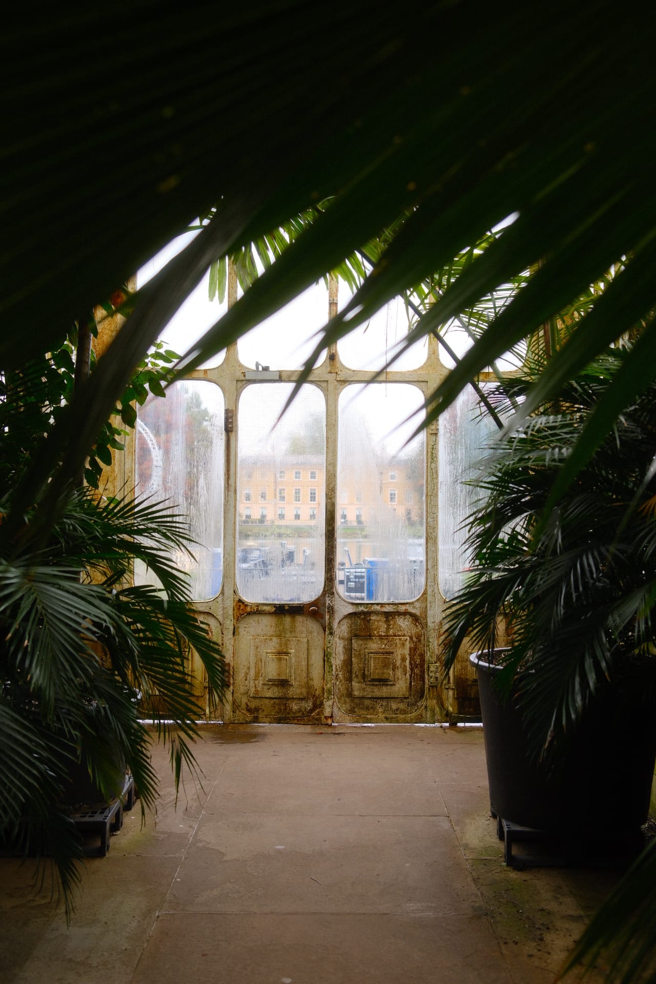 Inés Fernandez, votre coach intuitive